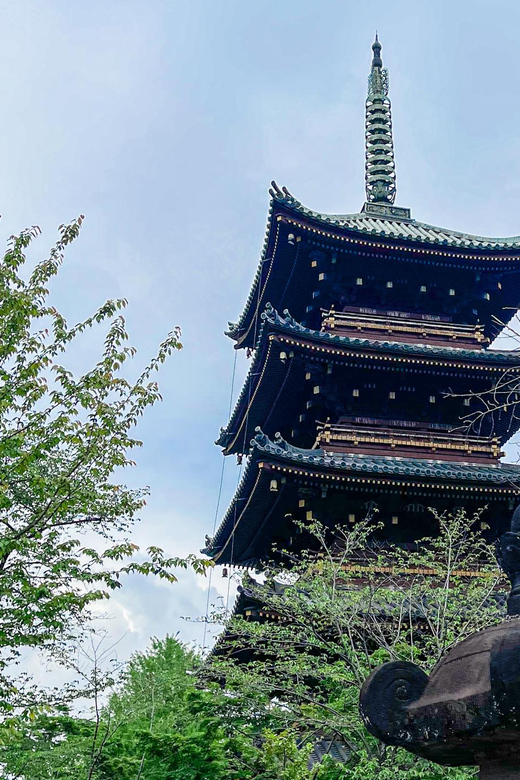 Tokio A: Tour de la ciudad en Español - Spanish - Shinjuku and the planned viewpoint