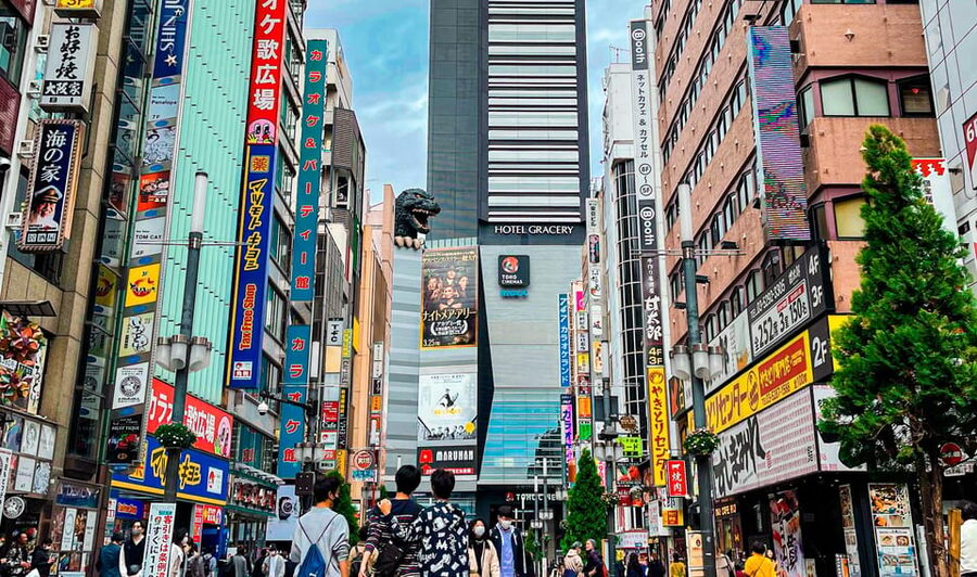 Tokio A: Tour de la ciudad en Español - Spanish - Kabukicho and the neon finale