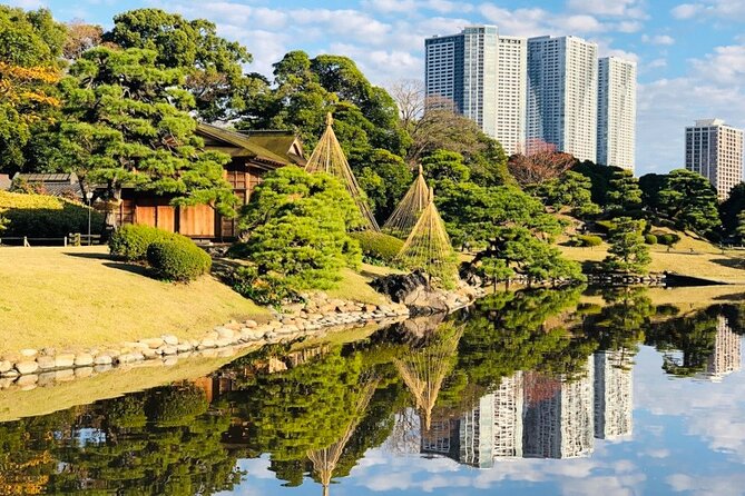 Tokyo 1-Day Bus Tour, pickup from 28 designated hotels in Tokyo - Pickup, timing, walking, and guide quality