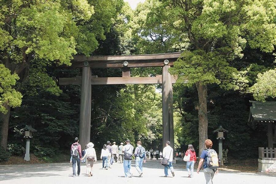 Tokyo: 1 Day Bus Tour with Meiji-Jingu,Odaiba,lunch&Skytree - Is $83 Good Value?