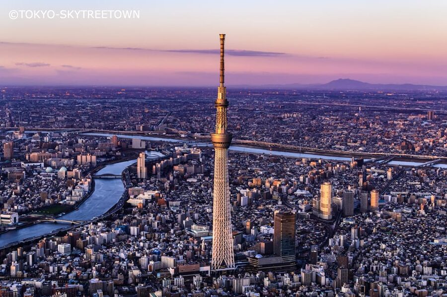Tokyo: 1 Day Bus Tour with Meiji-Jingu,Odaiba,lunch&Skytree - Meeting at Tokyo Station or Shinjuku