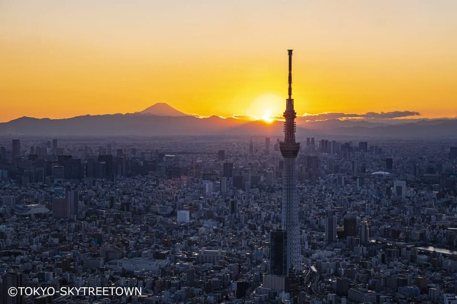 Tokyo: 1 Day Bus Tour with Meiji-Jingu,Odaiba,lunch&Skytree - Imperial Palace Plaza and Tokyo’s Imperial Story