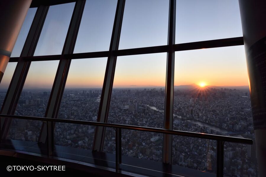Tokyo: 1 Day Bus Tour with Meiji-Jingu,Odaiba,lunch&Skytree - The Guides Make or Break the Day