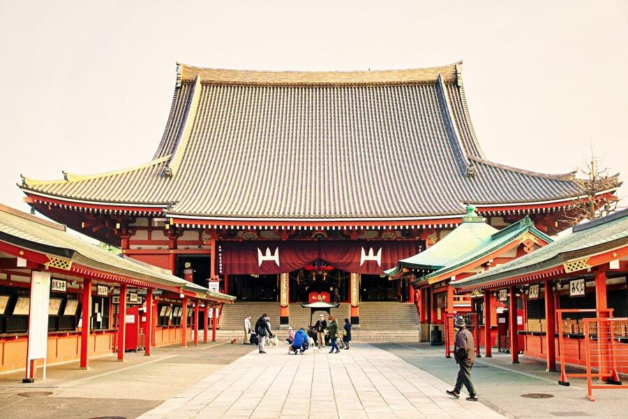 Tokyo: 1-Day Private Customizable Tour by Car - Why a private car helps in Tokyo