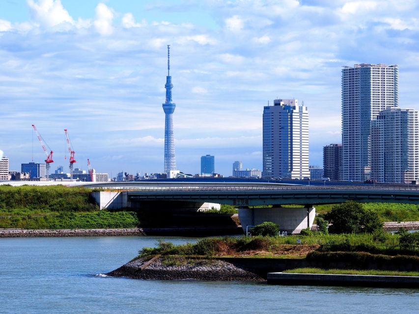 Tokyo: 1-Day Private Customizable Tour by Car - Tokyo Skytree adds height, with tickets extra