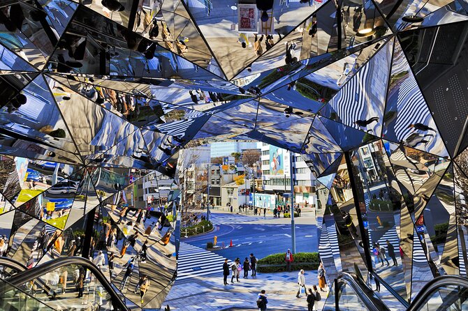 Tokyo 6hr Instagram Highlights Private Tour with Licensed Guide - Meiji Jingū and Harajuku in one stretch