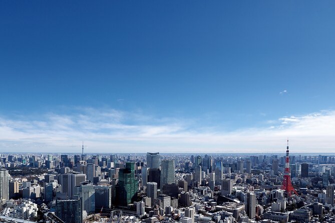 Tokyo 6hr Instagram Highlights Private Tour with Licensed Guide - Gardens, museums, and slower photo stops