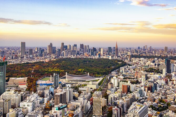 Tokyo 8hr Private Tour with Licensed Guide from Yokohama - Starting at Yokohama and crossing into the capital