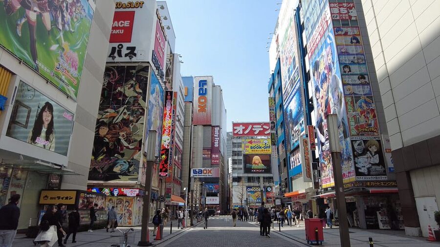 Tokyo Akihabara, Anime, Manga, Video Games & Maid Cafe Tour - Why a guide helps in Akihabara