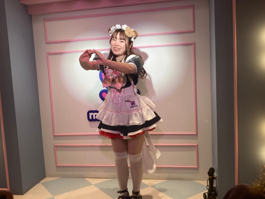Tokyo Akihabara, Anime, Manga, Video Games & Maid Cafe Tour - Anime and clothing at gee store!!