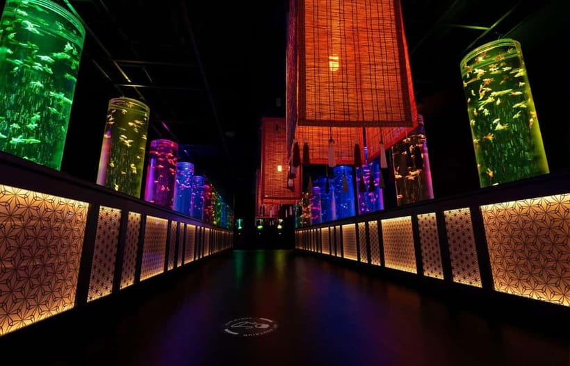 Tokyo: Art Aquarium Museum GINZA Entry Ticket - Who will enjoy this Ginza stop most?