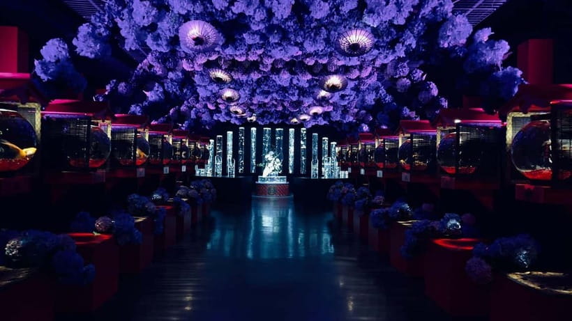 Tokyo: Art Aquarium Museum GINZA Entry Ticket - Seasonal presentations and changing artwork