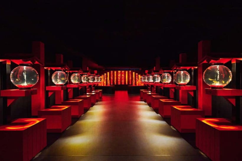 Tokyo: Art Aquarium Museum GINZA Entry Ticket - Photography inside the aquarium rooms