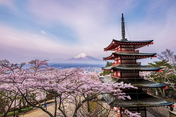Tokyo Asakusa Temple & Shrine Walking Tour with Local Guide - Temizu, prayer, and omikuji fortune-telling