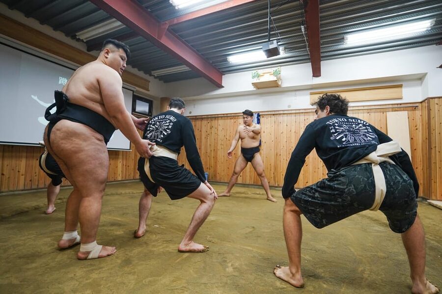 Tokyo: Authentic Sumo Wrestling Experience with Lunch - Watching morning practice from the front row