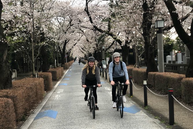 Tokyo Bike Tour: Shibuya & Hidden Tokyo - Yoyogi Park: a calm opening to the ride