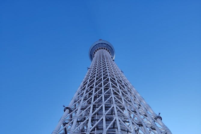 Tokyo Castle & Imperial PalaceーShogun Walking Tour - The Edo Castle Main Tower Site