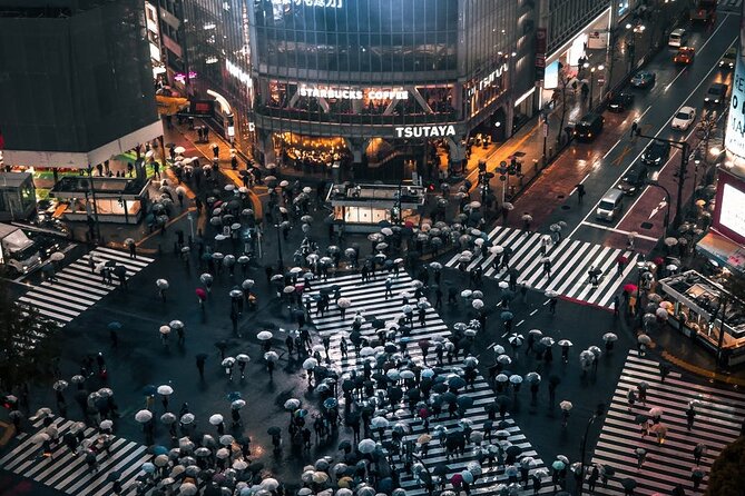 Tokyo City 1-Day Private Tour with Bilingual Driver - How much can you really fit into 10 hours?