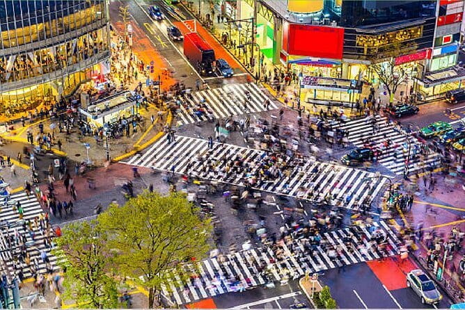 Tokyo City Tour by Private Car & English guide - Tsukiji Outer Market: plan lunch with care