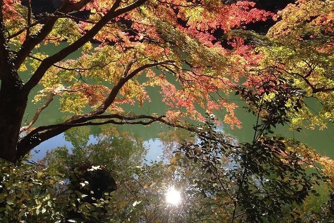 Tokyo Countryside Exploration Private Tour - Five things to know before booking