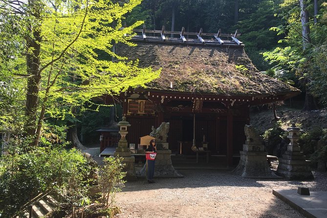 Tokyo Countryside Exploration Private Tour - Ogose-machi, waterfalls, and the Dragon Taming Temple