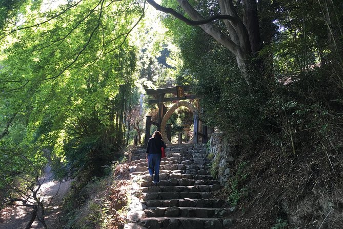 Tokyo Countryside Exploration Private Tour - Arima Dam and the rural drive