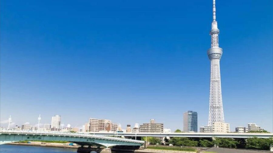 Tokyo: Customizable Private Guided Walking Tour - Neighborhood lanes, temples, gardens, and street life