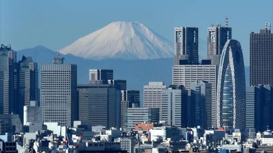 Tokyo: Customizable Private Guided Walking Tour - Meeting at your hotel and getting oriented
