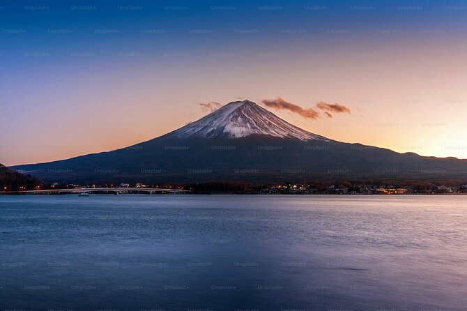 Tokyo: Customized Mt. Fuji & Hakone Sightseeing Private Day Trip - What this private Mt. Fuji trip is really good at