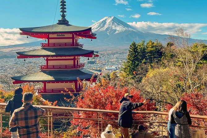 Tokyo: Customized Mt. Fuji & Hakone Sightseeing Private Day Trip - Mt. Fuji Panoramic Ropeway for a high viewpoint