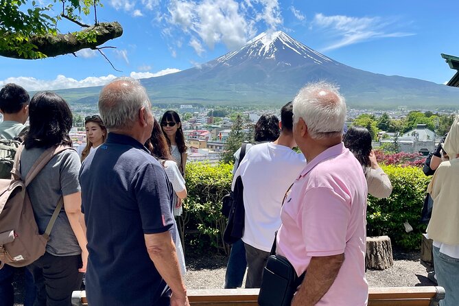 Tokyo: Customized Mt. Fuji & Hakone Sightseeing Private Day Trip - How to build the best ten-hour route