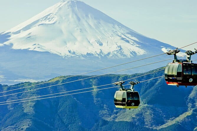 Tokyo Day Tour in Mt. Fuji, Lake Ashi Cruise and Owakudani Cable - Hakone Shrine and the torii beside Lake Ashi
