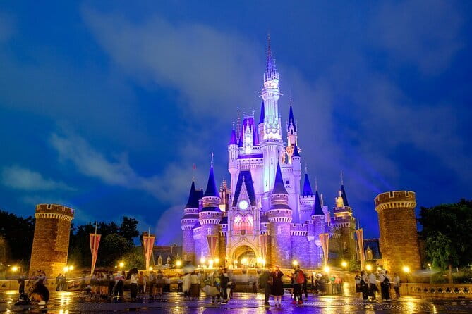 Tokyo Disney Resort Park E-Tickets with Options - Tokyo Disneyland or DisneySea: choosing the right park