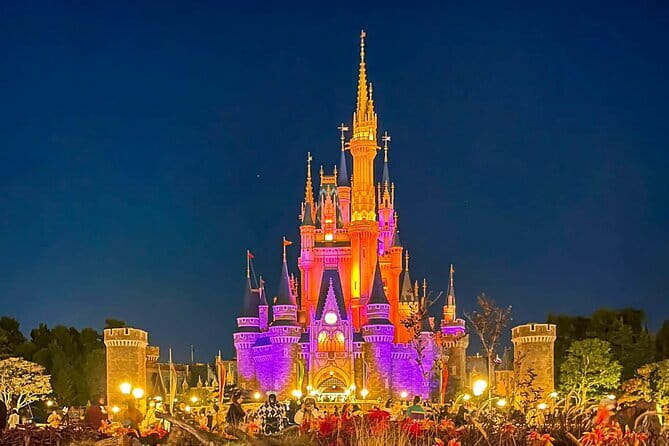 Tokyo Disney Resort Park E-Tickets with Options - What the $95 price really buys you