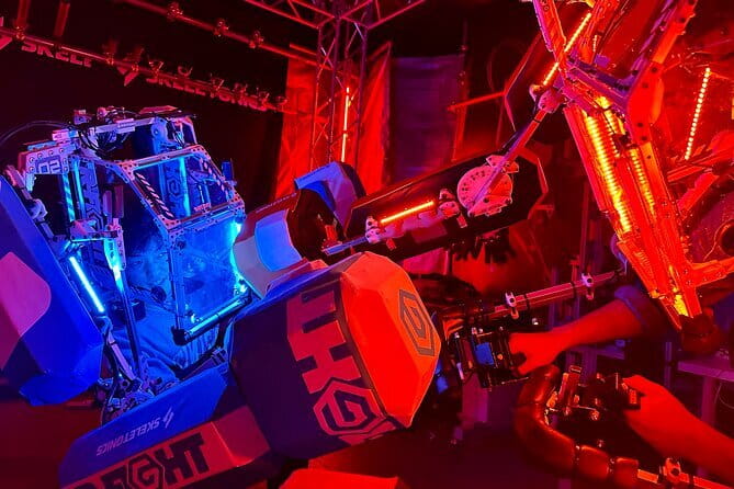 Tokyo Disney Resort Park E-Tickets with Options - The booking rules you should not overlook