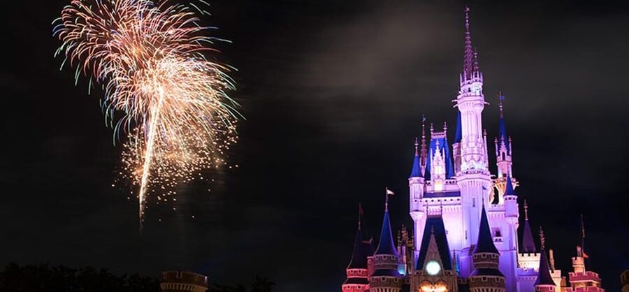 Tokyo Disneyland: 1-Day Entry Ticket and Private Transfer - Rides, shows, character greetings, and shops