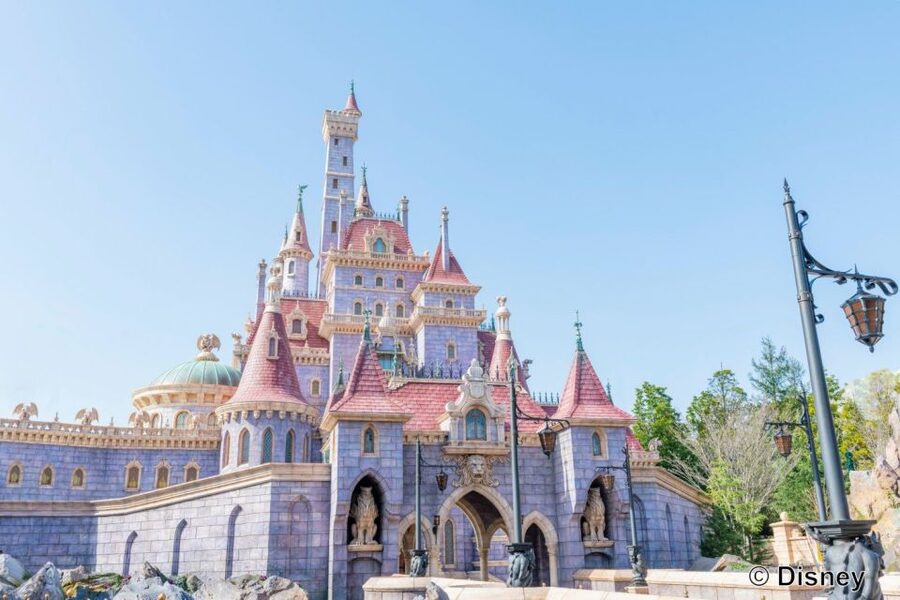 Tokyo Disneyland 1-Day Passport - Food, churros, and Disney shopping