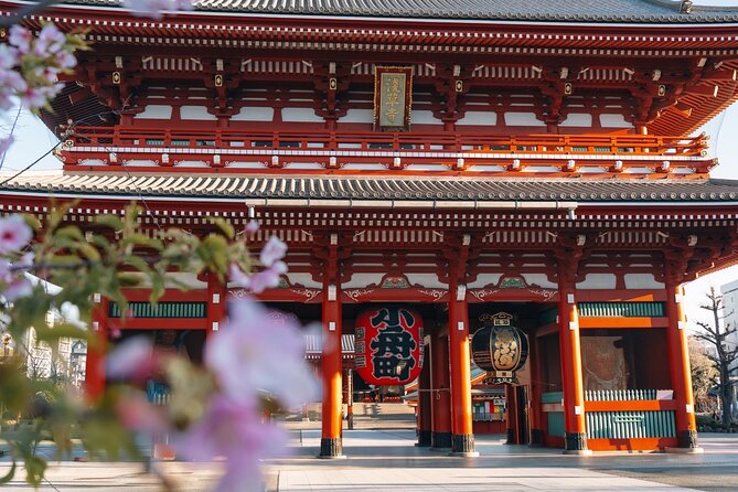 Tokyo Early Morning Tour Asakusa Meiji Shrine (Private Opt) - Key things to know before booking