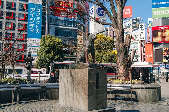Tokyo Early Morning Tour Asakusa Meiji Shrine (Private Opt) - Walking, transportation, and the morning pace