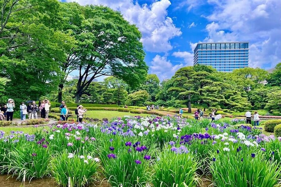 Tokyo: Edo Castle & East Garden of the Imperial Palace Tour - Who should book this walk?