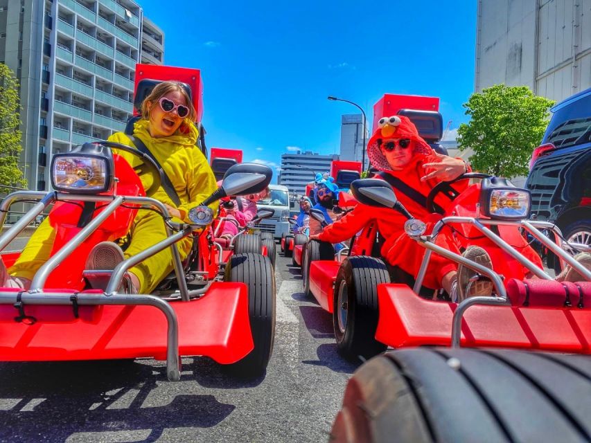 Tokyo: Flagship 2-Hour Street Go-Kart Tour by Street Kart - What the Tokyo Bay go-kart tour is really like