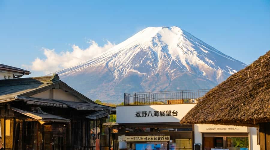 Tokyo: Full-Day Tour of the Six Majestic Spots of Mt Fuji - Key points to know before booking