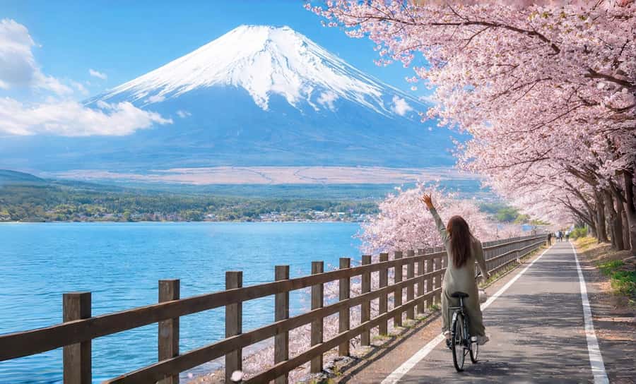 Tokyo: Full-Day Tour of the Six Majestic Spots of Mt Fuji - Why this Fuji day trip works from Tokyo