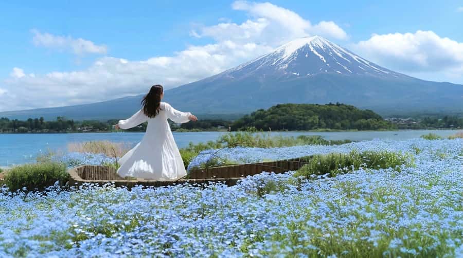 Tokyo: Full-Day Tour of the Six Majestic Spots of Mt Fuji - Oshino Hakkai and eight clear springs
