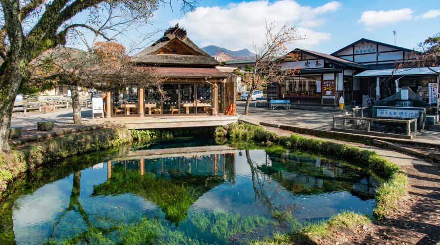 Tokyo: Full-Day Tour of the Six Majestic Spots of Mt Fuji - Oishi Park and flowers by Lake Kawaguchi