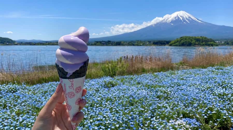 Tokyo: Full-Day Tour of the Six Majestic Spots of Mt Fuji - Guides, transport, and the pace of the day
