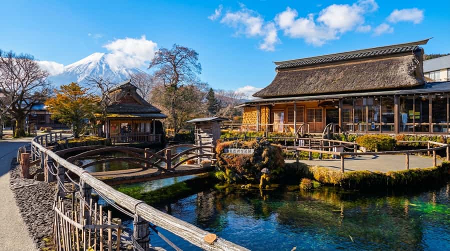 Tokyo: Full-Day Tour of the Six Majestic Spots of Mt Fuji - Food, luggage, and practical preparation