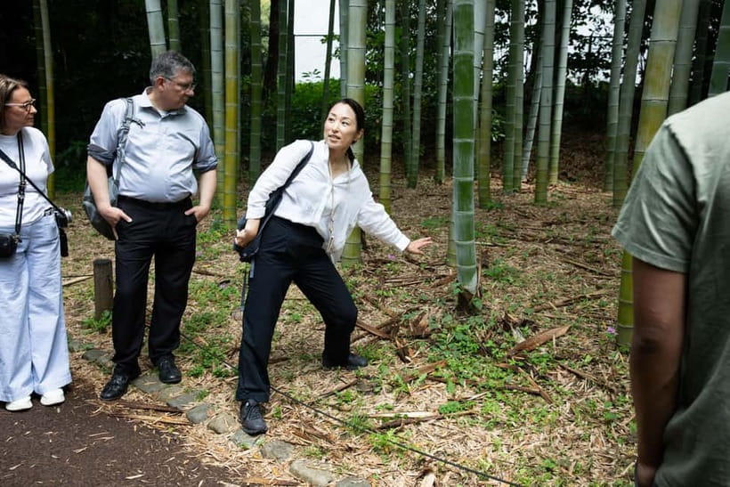 Tokyo: Imperial Palace East Gardens Walking Tour - Pace, access, and practical comfort