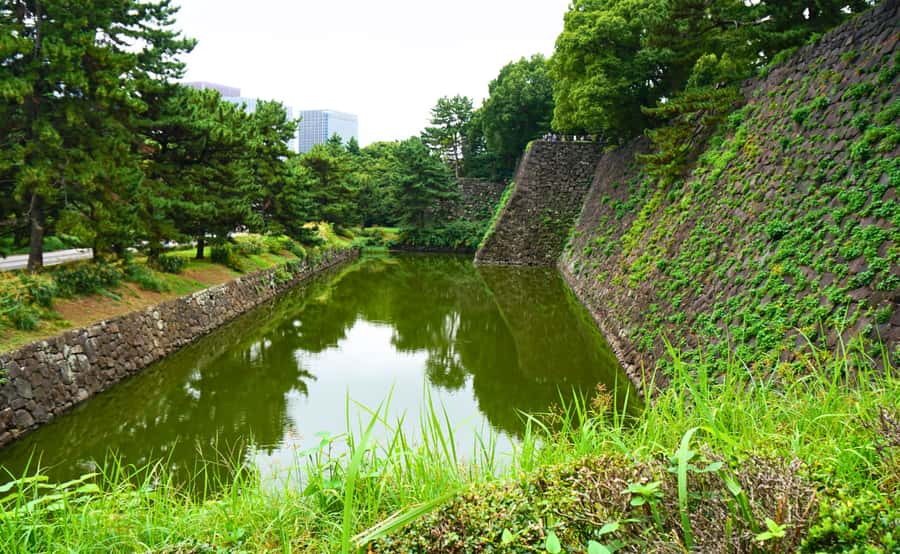 Tokyo: Imperial Palace Japanese History Walking Tour - Who will enjoy this experience most