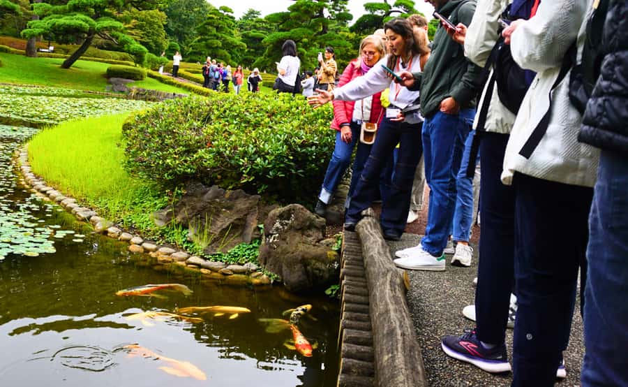 Tokyo: Imperial Palace Japanese History Walking Tour - Meeting at Wadakuramon Fountain Park